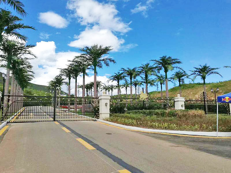 东莞仿真树